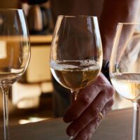 Marlborough: New Zealand's Flagship Wine Region 3 pexels 5732808