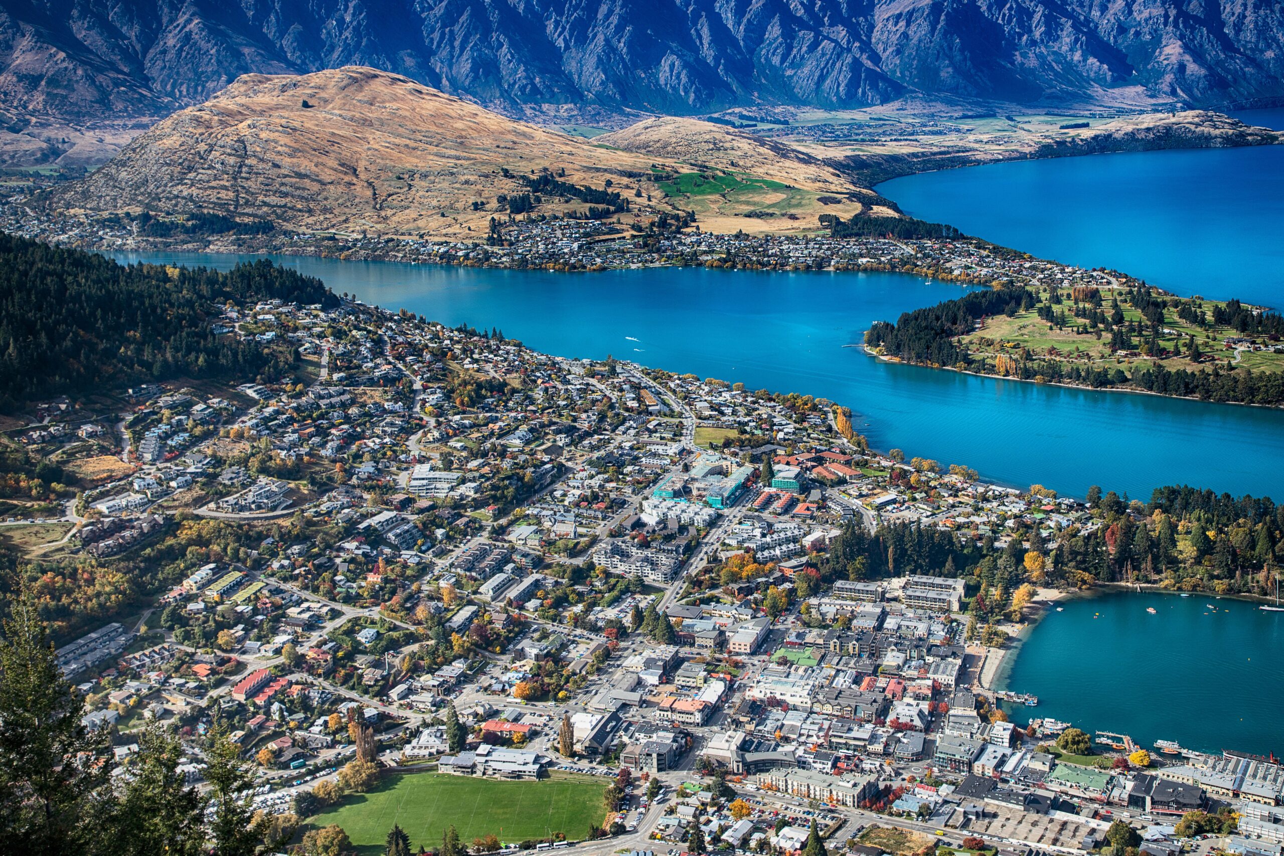 pexels 2302636 scaled