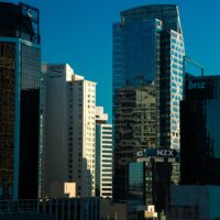 pexels 34083198