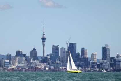 NZ Chinese Business Club: Building a 'Two-way Channel' for China-New Zealand Trade 4 NZ Chinese Business Club: Building a 'Two-way Channel' for China-New Zealand Trade