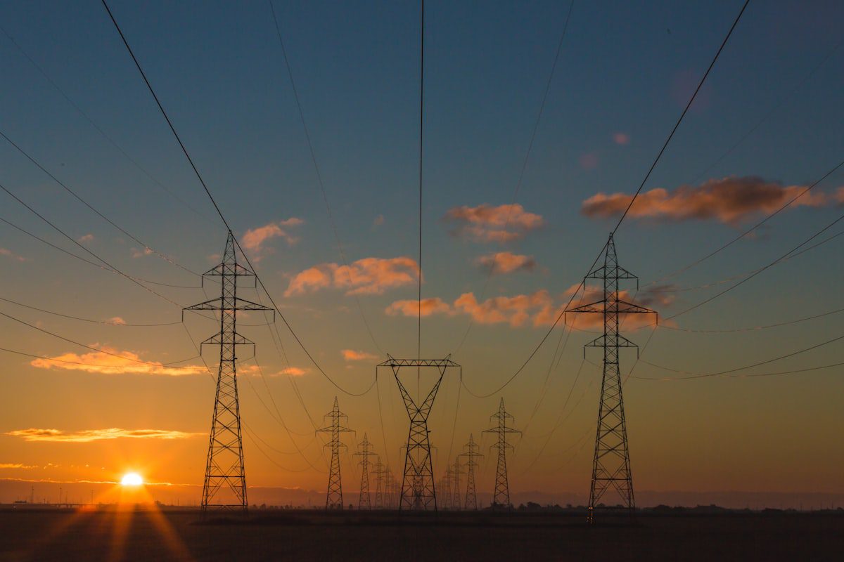 pine3