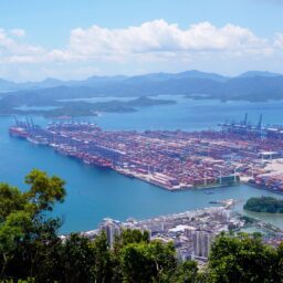 New Zealand Trade Promotion Seminar Held in Linyi 3 pexels 17654129