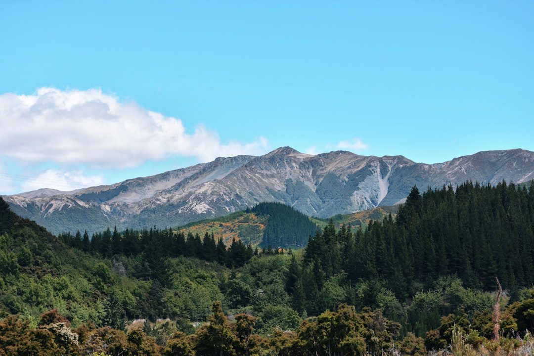 New Zealand: A Major Global Wood Exporter with High Per Capita Use and Rural Wooden Houses 2 新西兰是世界主要木材出口国,人均木材使用量居世界前列,绝大部分农村居民建造木屋居住。读下图,完成下面小题。(1)新西兰出口木材的主要种类为( ) A.热带雨林 B_百度教育