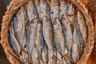 Regal, Olé and Runkong Food Announce Strategic Cooperation, Launch Regal Chef’s Selection Series to Elevate Premium King Salmon Consumption in China 6 featured image 55