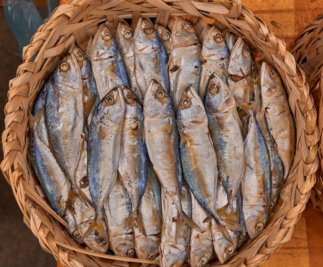 Regal, Olé and Runkong Food Announce Strategic Cooperation, Launch Regal Chef’s Selection Series to Elevate Premium King Salmon Consumption in China 2 Regal、Olé 与润控食品宣布战略合作,启动「Regal 主厨臻选系列活动」 共同推动中国高端帝王鲑消费体验升级