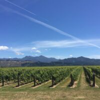 Top 10 Best Recognised Wine Brands: Elevating Gatherings and Quality of Life 3 featured image 65
