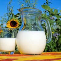 Geographical Indication Mutual Recognition Boosts Annual Growth of China-EU Agri-Food Trade 4 g0212d136311f3c773b030c7f94e8747b17df4b887d51ef42ab62f5980886ec1b13ccd01c94f5fc72e5419431714ab0703344e21e6af4db523a143a4800af9201 1280