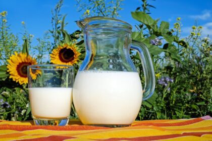 Geographical Indication Mutual Recognition Boosts Annual Growth of China-EU Agri-Food Trade 17 g0212d136311f3c773b030c7f94e8747b17df4b887d51ef42ab62f5980886ec1b13ccd01c94f5fc72e5419431714ab0703344e21e6af4db523a143a4800af9201 1280