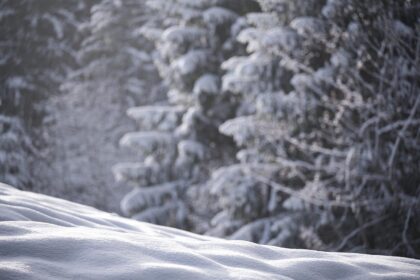 Xi Jinping Meets New Zealand Prime Minister Luxon 21 g933a1e227ce959bd45d91048c370dfff580a9e62eb88ace89b0fcc44c8f1d150a11ff490c6d71438b59d2686ec972584ca2a69d2512c0cde0ebed3806720eddc 1280