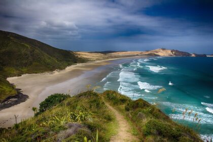 Overlooked NZ Resource Profits from Export Sales 16 gf1c9581f6ff8d180b5001f7cda075d75c7c86ffdf78efa5fca9541bc683f6030cd68cdc1b2a389e28bc714a11e45c19e0696412cd6cbf0c40bcecfa26db9badf 1280