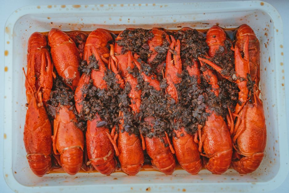 China becomes largest consumer market for NZ lobster 1 pexels photo 12381101