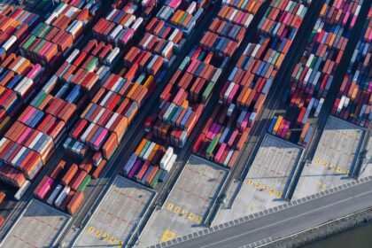 “Policy Package” Marks First Anniversary with Notable Results; Premium Guangdong Products Debut on Two Major International Cultural Platforms 1 pexels photo 16765239