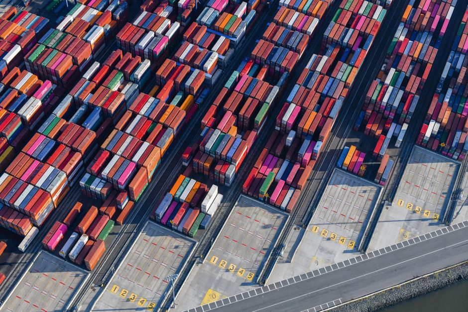 “Policy Package” Marks First Anniversary with Notable Results; Premium Guangdong Products Debut on Two Major International Cultural Platforms 1 pexels photo 16765239