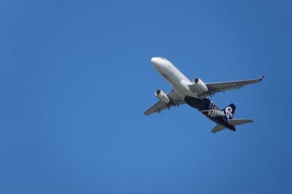 pexels photo 31381543 1