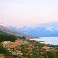 New Zealand Unipharm: 50 Years of Manufacturing Heritage, the Quality Choice for Yusiba 3 pexels photo 6788081