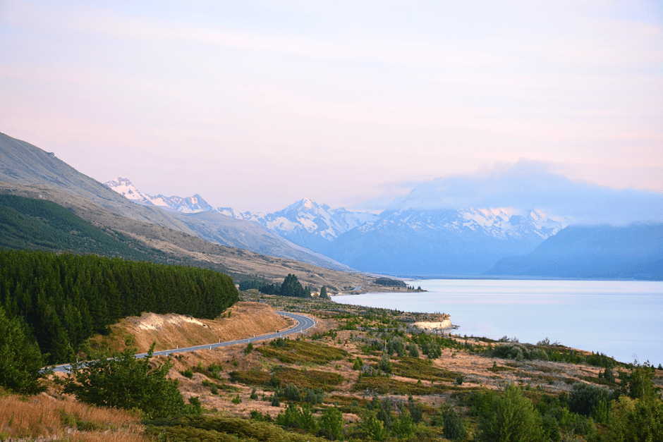 New Zealand Unipharm: 50 Years of Manufacturing Heritage, the Quality Choice for Yusiba 1 pexels photo 6788081