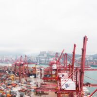 Ministry of Commerce Responds to Specifics of China-New Zealand Economic and Trade Joint Committee and Other Hot Issues 4 pexels photo 8243357 2