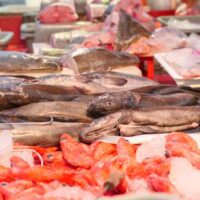 Salmon’s Many Colours: Know the Origin, Cook It Best 3 pexels photo 8352344