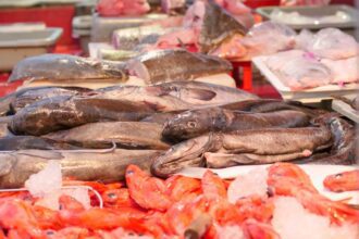 Salmon’s Many Colours: Know the Origin, Cook It Best 7 pexels photo 8352344