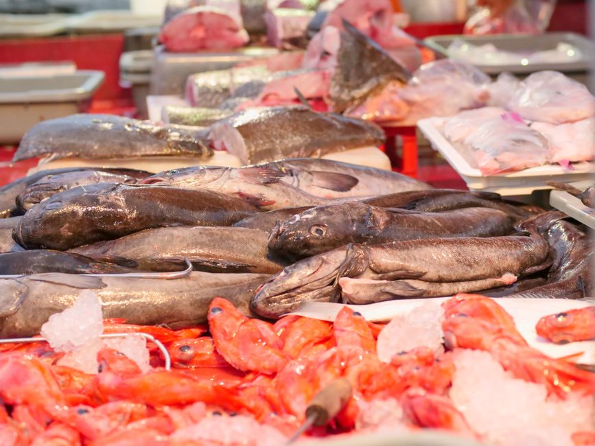 Salmon’s Many Colours: Know the Origin, Cook It Best 1 pexels photo 8352344