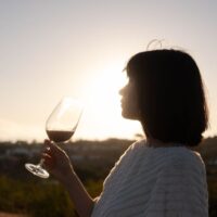 2026 Chile Wine Roadshow Concludes Successfully: Highlights from Three Cities 3 pexels photo 8849385