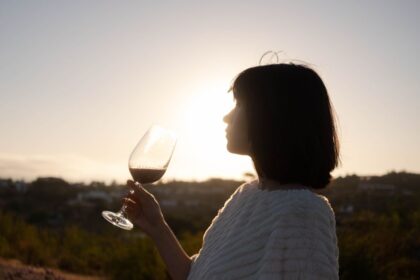 2026 Chile Wine Roadshow Concludes Successfully: Highlights from Three Cities 2 pexels photo 8849385