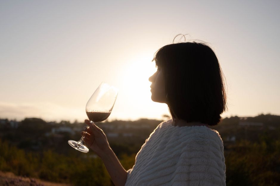 2026 Chile Wine Roadshow Concludes Successfully: Highlights from Three Cities 1 pexels photo 8849385