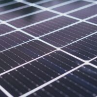 Trina Solar and Lodestone Launch Agrivoltaic Project in New Zealand – International Solar Photovoltaic Network 3 pexels photo 8853509 2