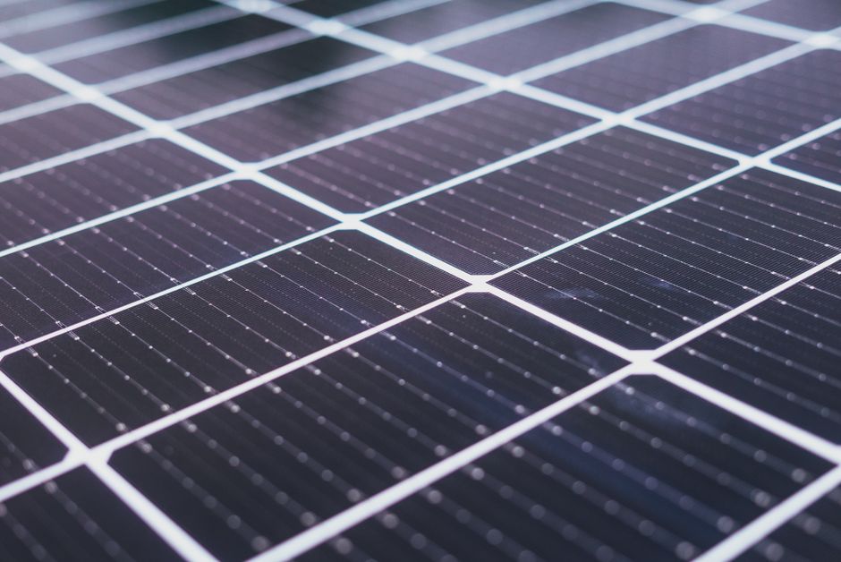 Trina Solar and Lodestone Launch Agrivoltaic Project in New Zealand – International Solar Photovoltaic Network 1 pexels photo 8853509 2