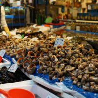 Live Streaming Shellfish 4 pexels 12166918