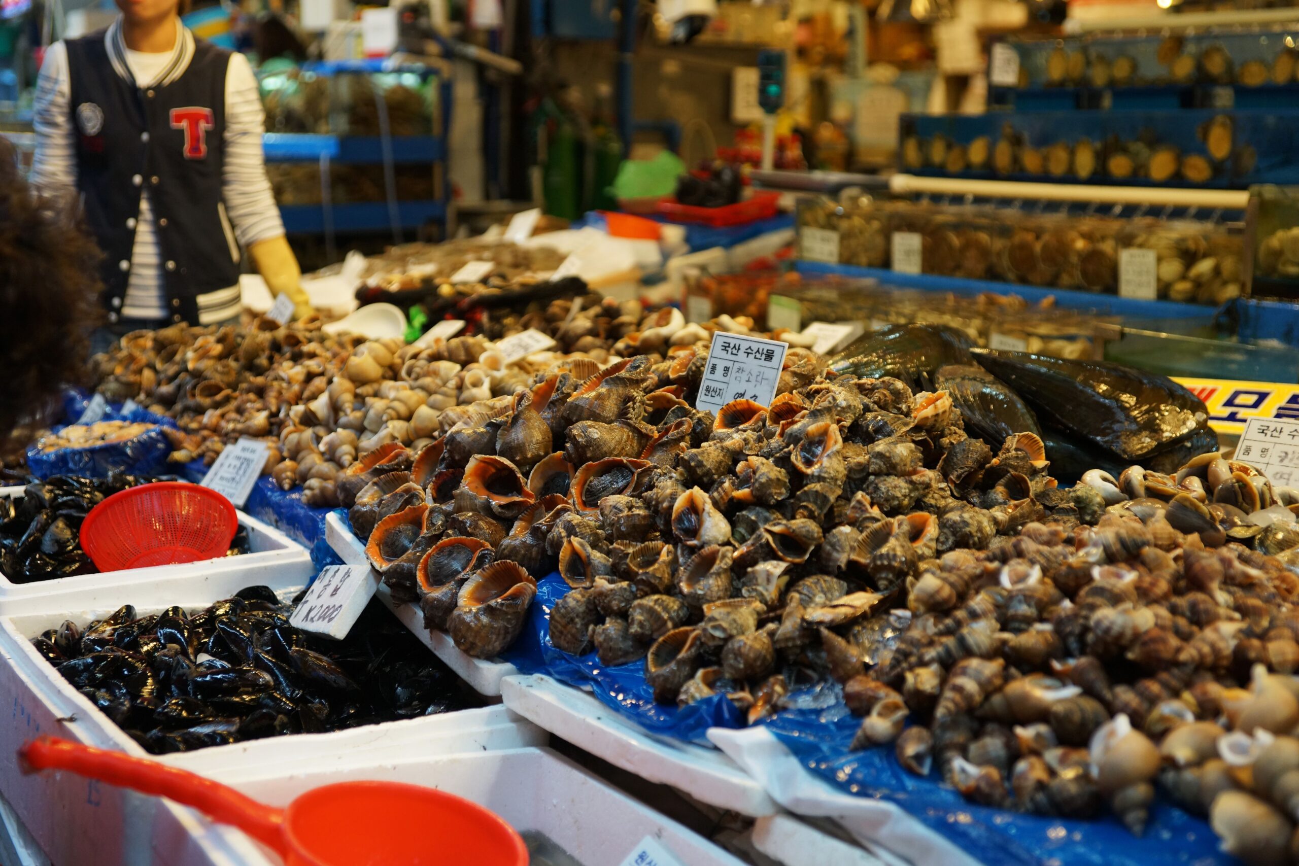 Live Streaming Shellfish 1 pexels 12166918 scaled