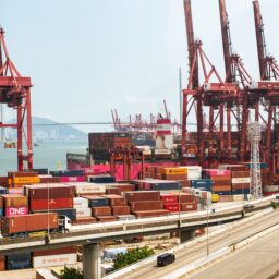 China and NZ Agree to Advance Services Trade Talks 3 pexels 12999282
