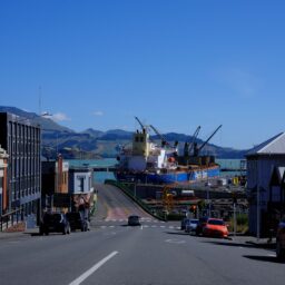 China–New Zealand 34th Joint Committee on Economy and Trade Held 4 pexels 36002402