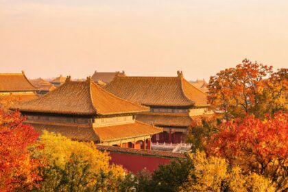 Han Zheng proposes four-point plan at World Peace Forum 2 021784312280564480c9da16195717d454d02a438d86eb7f5892b 0