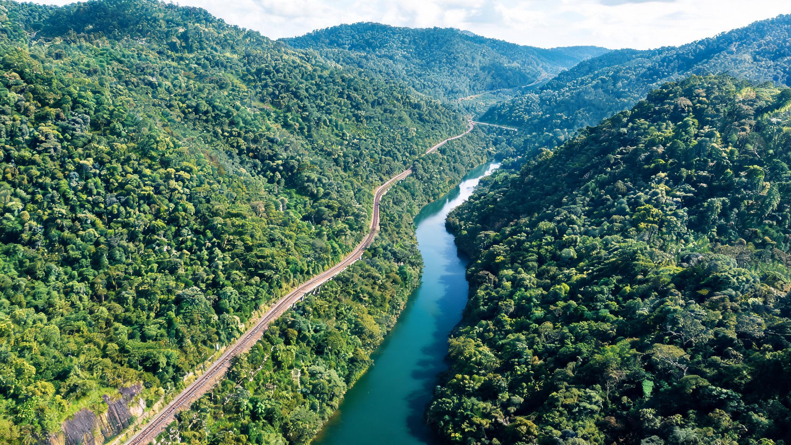 Retracing the Thai-Burma 'Death Railway': A Japanese Supply Line Built on 100,000 Corpses 1 02178444286301866d4fff57f472cc97f9dc7178d7aa526896cc7 0