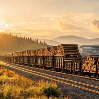 International Wood Train Services from Russia and New Zealand to Guangyuan Launched 4 021784445781887c929fb24726b230d1858d8337483a3c054c305 0 1