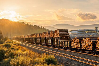 International Wood Train Services from Russia and New Zealand to Guangyuan Launched 15 021784445781887c929fb24726b230d1858d8337483a3c054c305 0 1