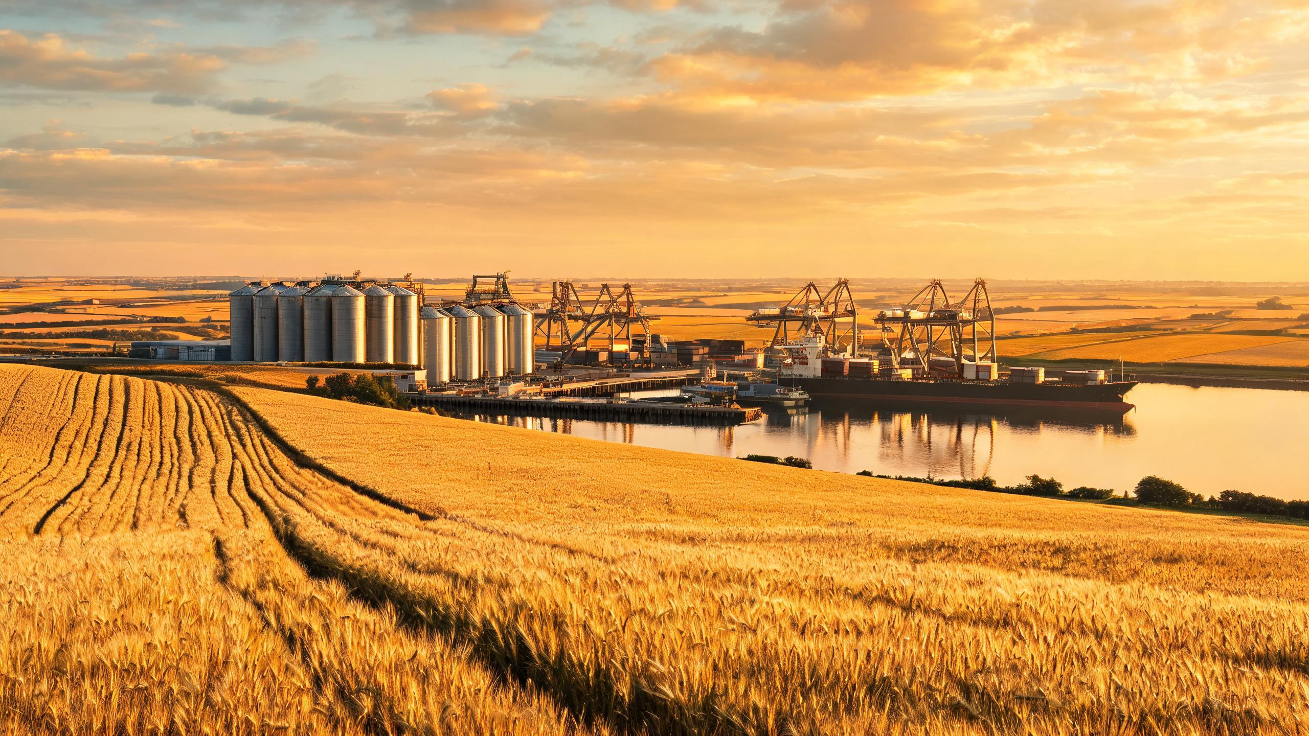 Sino-US cooperation should leverage agricultural trade as 'fundamental pillar' 1 02178445900328197a332f3b50a0c4ced447fdabc183cc8d078fb 0 1