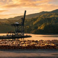 0217844605879388de218602406b4cab85da53782ff803c2bed59 0 1