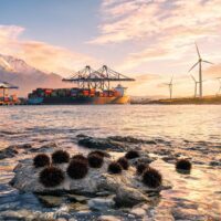 From Sea Urchins to New Energy Vehicles: Deepening China-Chile Trade Cooperation Brings More Opportunities – Xinhua 3 021784470013484556a0b139fa45462562de62a2b19e0812b2af4 0