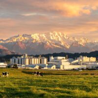 Fonterra WMP at 27,500 Yuan/Tonne: Dairy Commodity Quotes July 22 4 0217847003974008f32d4667543c5e47ac6ffa77f14f9c5fa540c 0