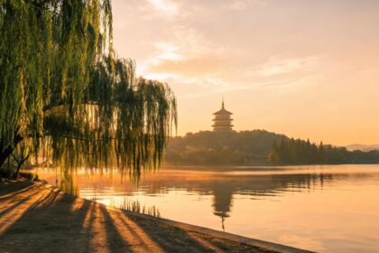 Xi, Slovak President Pellegrini hold talks 2 021785218679794d2117f1954c918d1636ca8e94ee30b50c151c4 0