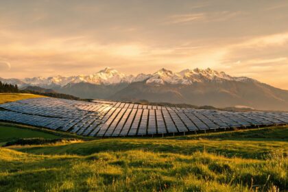 Trina Solar: Global PV Leader Eyes NZ Distribution Growth 11 021785823588928474cb012b3b24af2f1528e3bfa9e6caa2c08bb 0