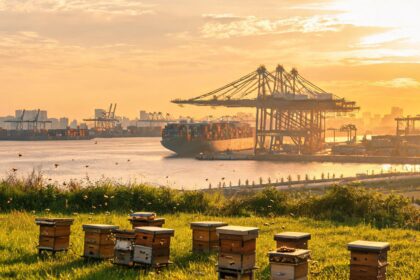 Overseas bee product exporters face two-step GACC registration 12 021786277155951f5028489cb353b460b901382cc774869f27dcd 0