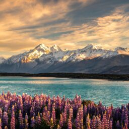 Choosing a 2-6 Person Tour Operator in NZ: Top 8 Ranked by Expert Review 4 021786471908871f7b571b3147c8053e664bd4ad440a263db9ab0 0
