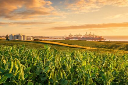 Australia seeks glyphosate-free mung bean methods after China rejects shipments 9 021786666075893f0b662e0a22462bcc30964e8c71cc7669db12b 0