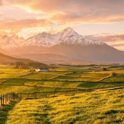 a2 Milk FY2026 revenue rises 12.4% to NZ$1.975b, Chinese-label formula gets premium boost 3 021787077287707a77e5a4c9aa25c0e7eca6d226bba90a059e9d3 0