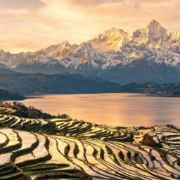 China, Switzerland Conclude FTA Upgrade Talks 4 02178735718308039b5b0f4b57789945865e795386c35307e5b5e 0