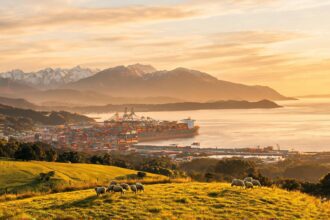 Silver Fern Farms CEO: CIIE builds bridge to China market 7 0217876596562070b63b37cbca791937f2f41fb0469576ddcafde 0