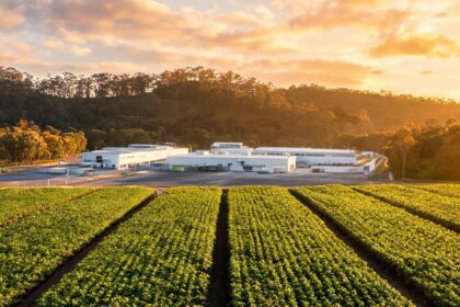 Nuotuite's Four Australian Partner Plants Hold Valid China Customs Registration 5 021787746141639f0b662e0a22462bcc30964e8c71cc76628ef9f 0